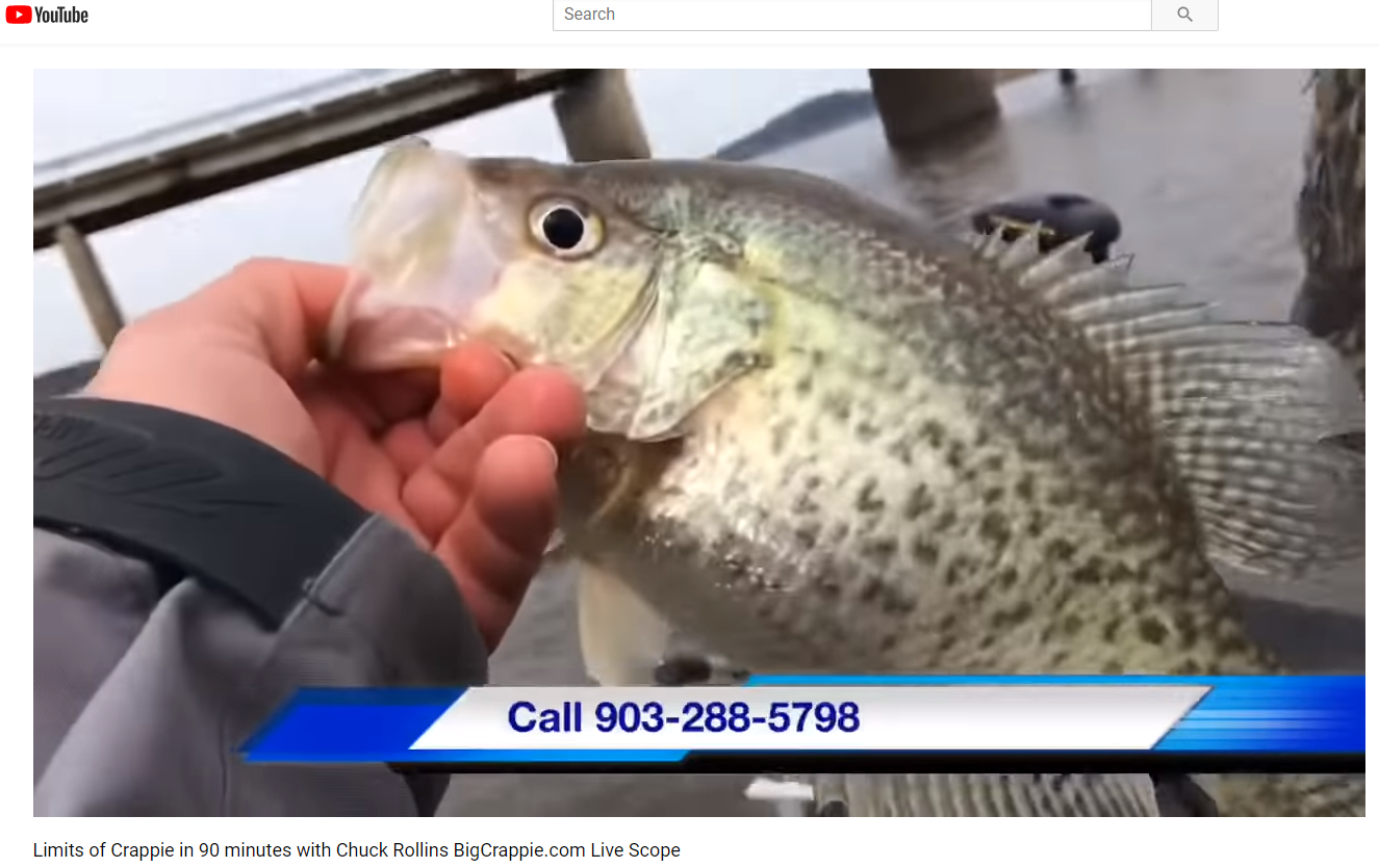 Limits of Crappie in 90 minutes video with Chuck Rollins fishing guide